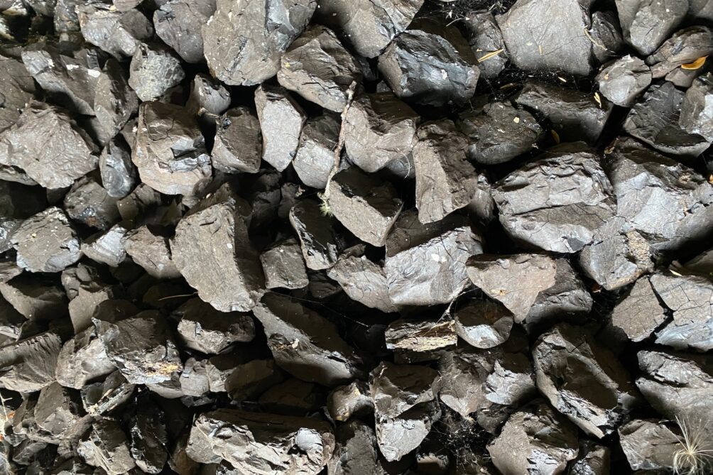 Coal